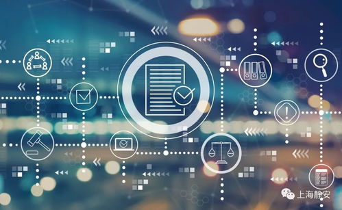 市科創(chuàng)中心深入市北園區(qū)，為網絡技術研發(fā)企業(yè)送政策解疑惑