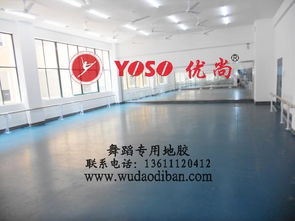 專業舞蹈塑膠地板 保護、減震、排壓與批發的全方位解析